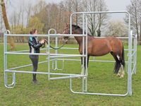 Komplettset Panelbox 3 x 3 Meter mit Tor Pferdebox mobil Neumünster - Tasdorf Vorschau