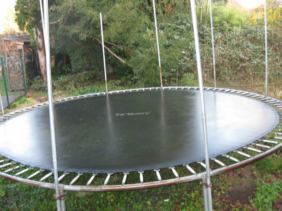 Ampel 24 outdoor Trampolin 430 cm mit 160 kg Belastbarkeit in Düsseldorf -  Eller | eBay Kleinanzeigen ist jetzt Kleinanzeigen