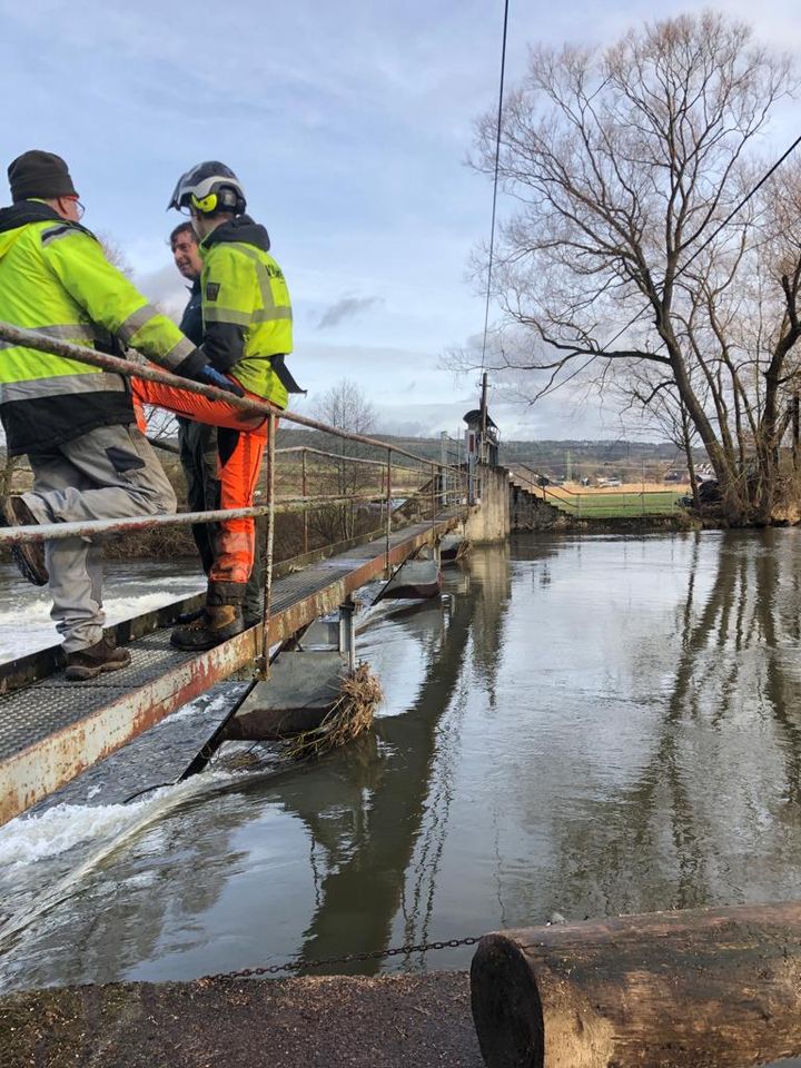 Holzeinschlag Baumfällung Wimmer Forstschlepper in Altenkunstadt