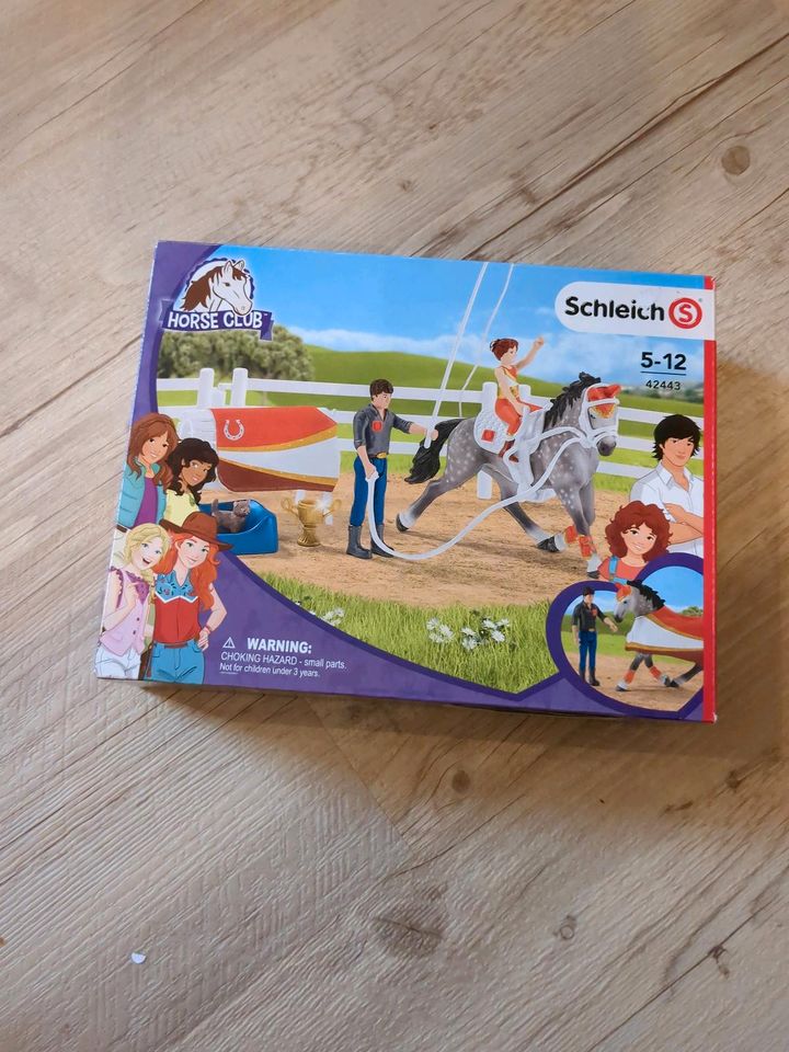 Schleich Horse Club verschiedene Sets in Landesbergen