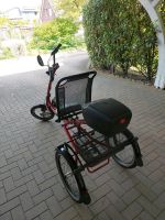 Luxus Trike rot 7 Gang Kreis Pinneberg - Wedel Vorschau