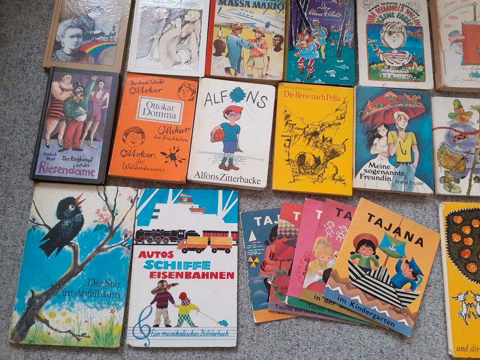 DDR KINDERBÜCHER JUGENDBÜCHER Riesiges Konvolut in Freiberg