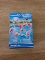 Playmobil 70351 Flamingoschwarm Brandenburg - Potsdam Vorschau