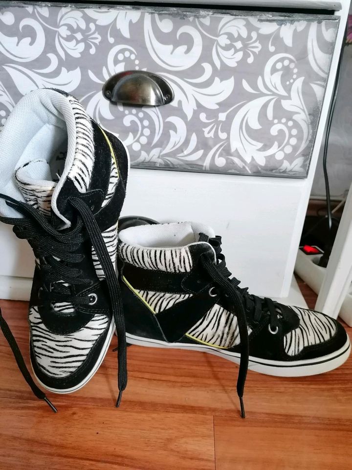 Schuhe zebra kuhfell 42 sneaker in Niedersachsen - Neuenhaus | eBay  Kleinanzeigen ist jetzt Kleinanzeigen