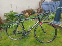 PINARELLO Prince  Rennrad Nordrhein-Westfalen - Elsdorf Vorschau