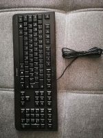 Tastatur mit Kabel Nordrhein-Westfalen - Kerpen Vorschau