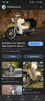 Suche originales Moped Habicht SR4/4 knieblech Mecklenburg-Vorpommern - Feldberg Vorschau