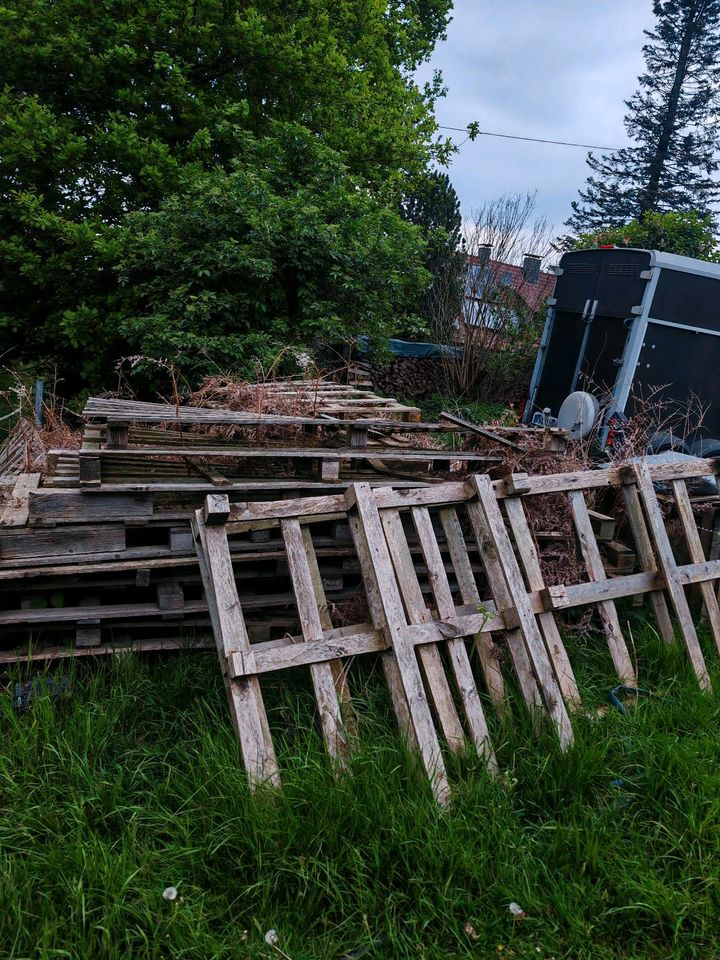 Ältere Einwegpaletten als Brennholz zu verschenken in Witten