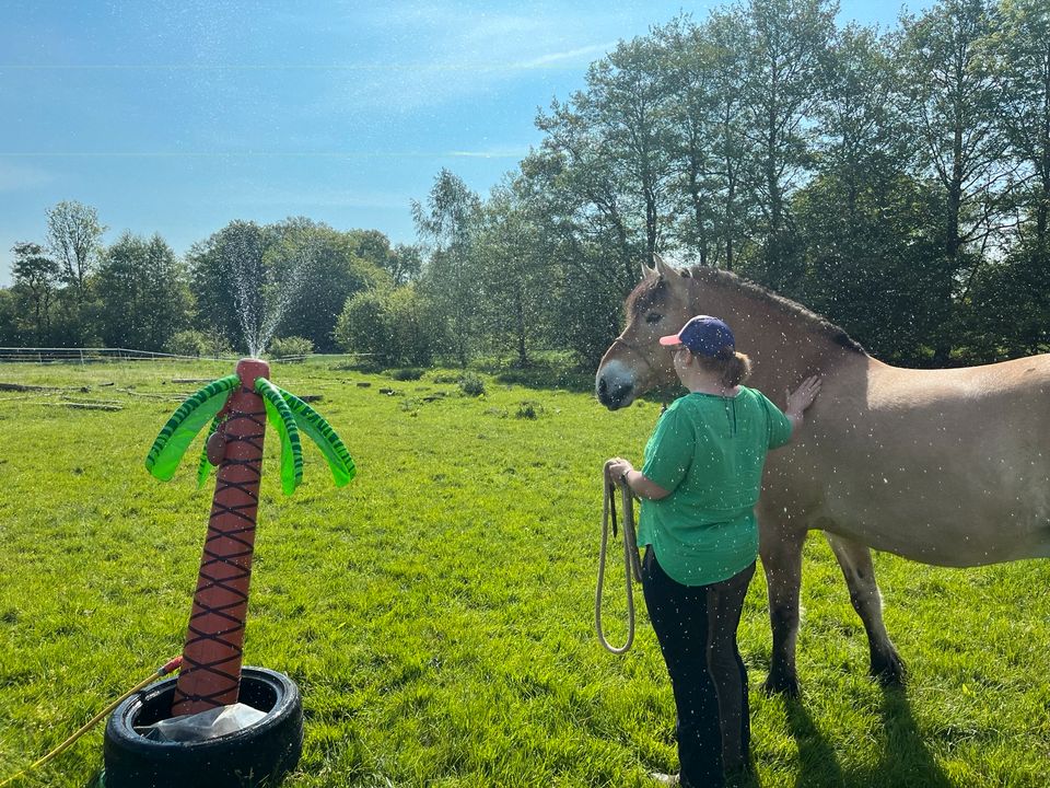 Trail Tag/Kurs in Greven