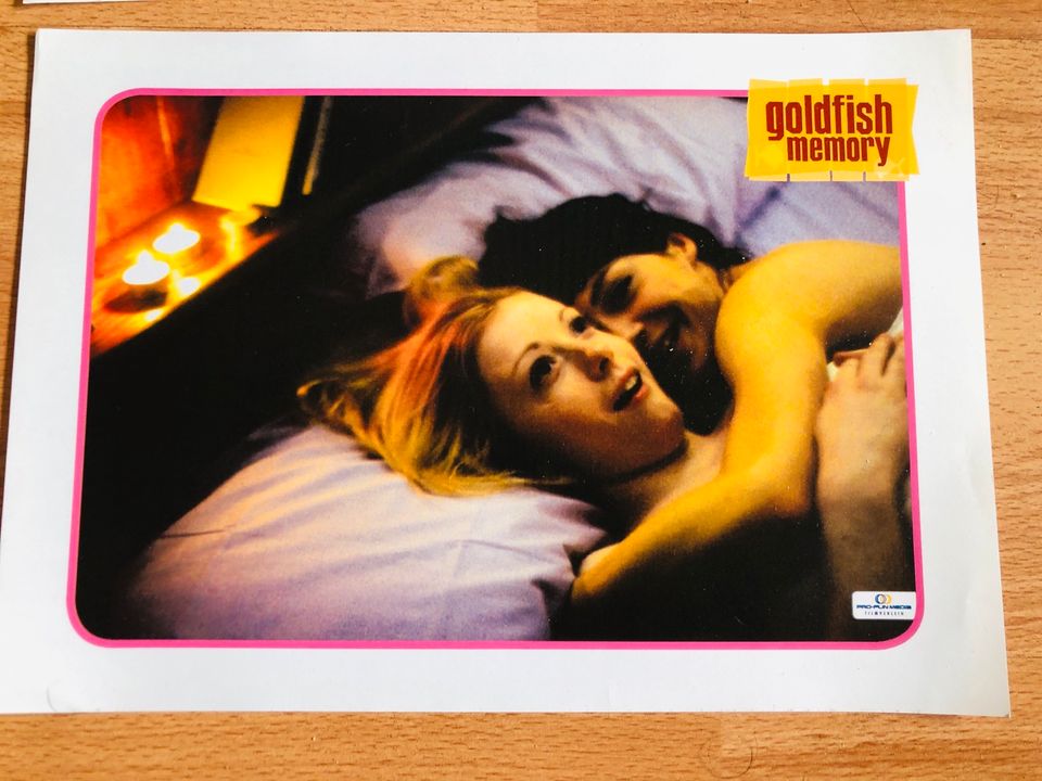 Kino Aushang Plakate: goldfish memory Poster Romantik Film Plakat in Köln