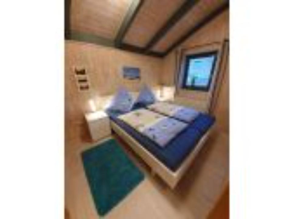 + LAST MINUTE 3.5.-24.5.25 + Urlaub am Meer Ostsee mit Hund + in Kronsgaard
