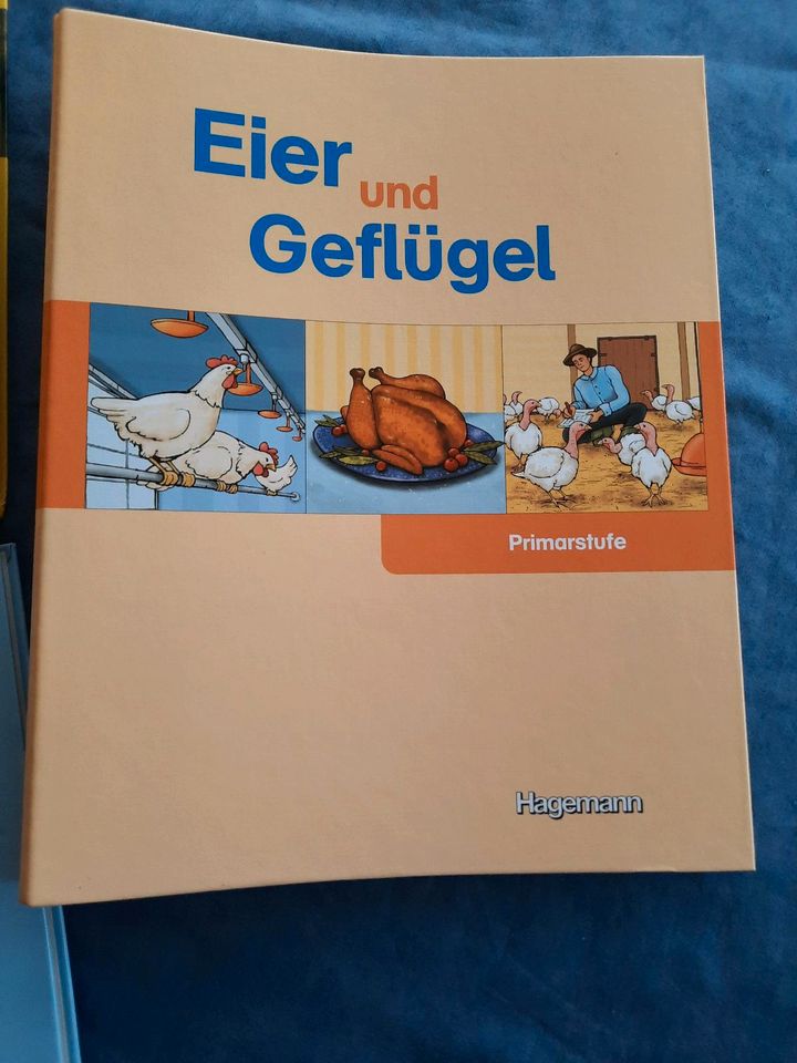 Medienpaket Schule - Zucker; Eier und Geflügel; Gesund und munter in Laupheim