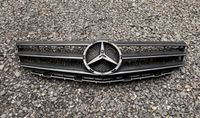 Kühlergrill Mercedes A-Klasse Thüringen - Oechsen Vorschau