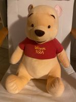 Winnie Pooh Kuscheltiere Kreis Pinneberg - Pinneberg Vorschau