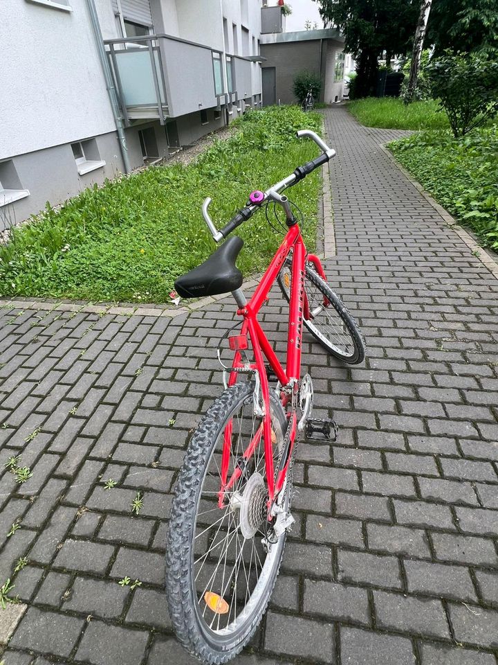 Herren Fahrrad 29 zoll in Frankfurt am Main