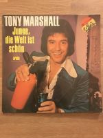 Schallplatte Tony Marshall Junge die Welt ist schön LP Sachsen - Malschwitz Vorschau