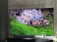 Sony TV 65Zoll Nordrhein-Westfalen - Würselen Vorschau