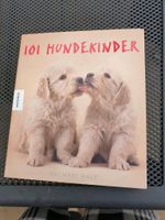 101 Hundekinder Buch Dortmund - Scharnhorst Vorschau