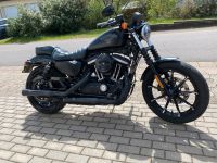 HARLEY SPORTSTER XL 883 IRON 5 HD 1 EXTRAS Saarland - Nohfelden Vorschau