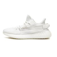 Kaufe Alle Yeezy 350 Bone Nordrhein-Westfalen - Witten Vorschau