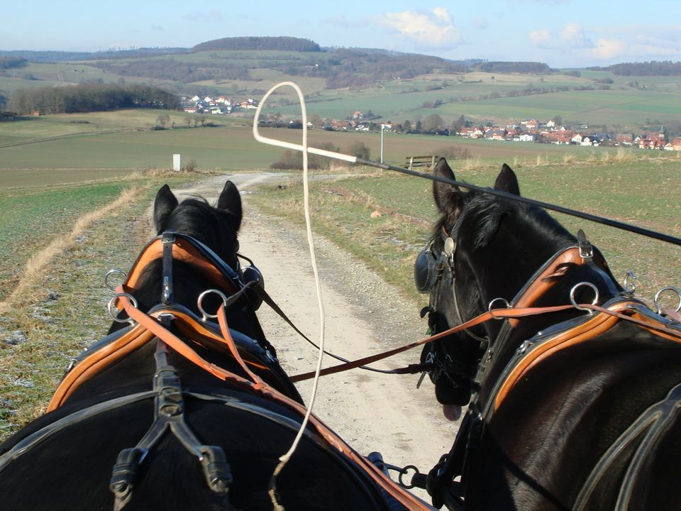 Hochzeitskutsche Kutschfahrt Planwagenfahrt in Großenlüder