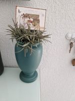 Vase mit zubehör Niedersachsen - Geeste Vorschau
