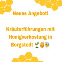 Neu! Kräuterführungen m. Honigverkostung in Borgstedt Schleswig-Holstein - Rendsburg Vorschau