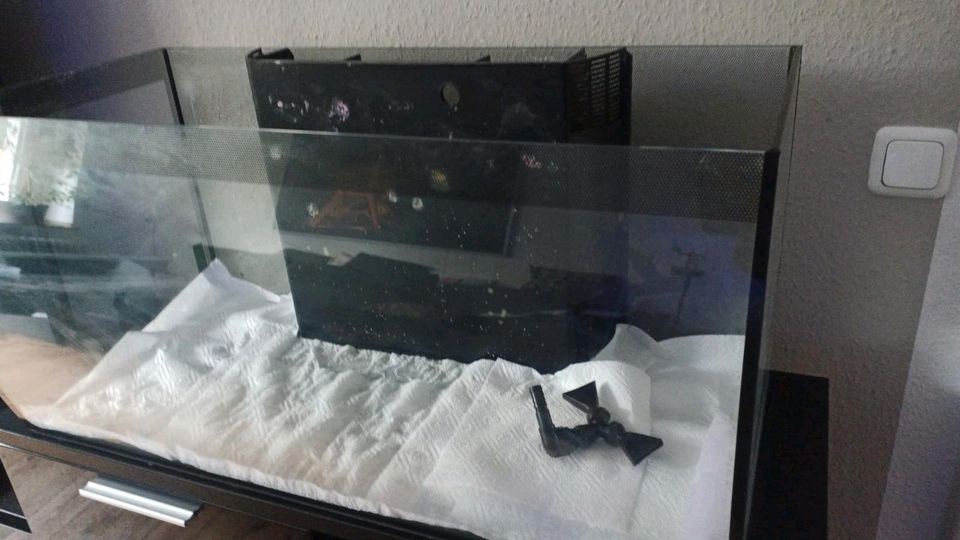 Fluval Flex 123 Becken, ohne Zubehör,  Meerwasseraquarium in Essen-Margarethenhöhe