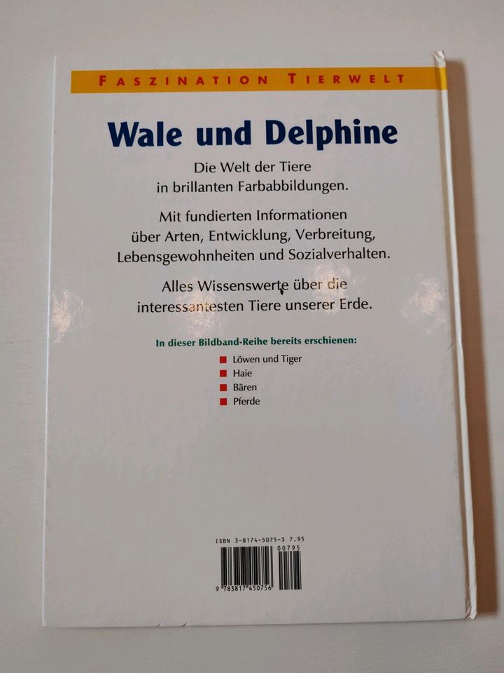 Buch Faszination Tierwelt WALE und DELPHINE Kinderbuch Tierbuch in Delmenhorst