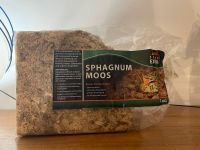 Spagnum Moos, Pflanzen Anzucht, Terrarium Nordrhein-Westfalen - Minden Vorschau