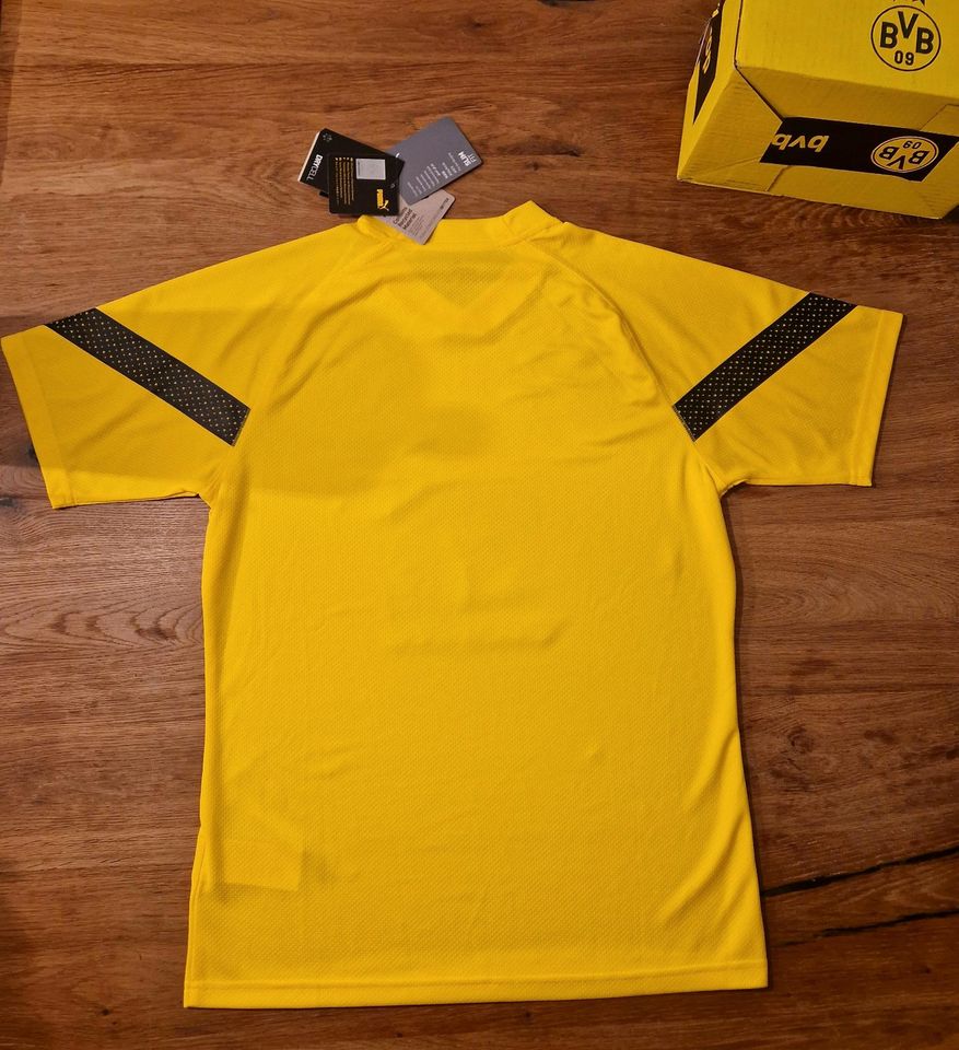 PUMA Trainingsshirt Borussia Dortmund Fußball 2022/23 *NEU* in Sundern (Sauerland)