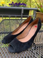 Peep Toe Pumps von Högl schwarz Nordrhein-Westfalen - Siegen Vorschau