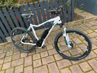 Bulls Aminga XT E-Bike EMTB Mountainbike 27,5 Zoll Bayern - Fürth Vorschau