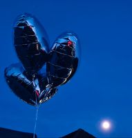 30 Herzballons, Ballons, silber /roségold, 45 cm, heliumgeeignet Hessen - Steffenberg Vorschau