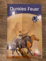 Kinderbuch - Dunkles Feuer Hessen - Gemünden (Wohra) Vorschau