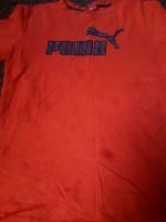 Puma T Shirt Rheinland-Pfalz - Trippstadt Vorschau