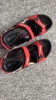 Ecco Sandalen Offroad Größe 37 Rheinland-Pfalz - Bermersheim vor der Höhe Vorschau