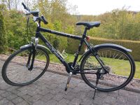 Raleigh Trekking Fahrrad Nordrhein-Westfalen - Wipperfürth Vorschau