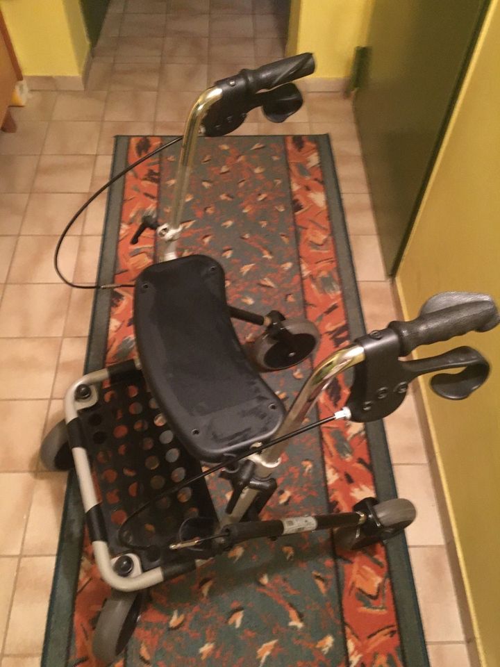 Rollator INVCARE Banjo P 452 E/3 in Frankfurt am Main