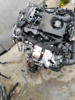 Motor  Land Rover Velar  , Jaguar F-PACE 2.0d  22tkm 204DTD Mecklenburg-Vorpommern - Neubrandenburg Vorschau