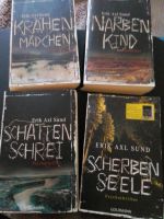 Erik Axl Sund  Psychothriller Paket (4 Bücher) Kreis Pinneberg - Tornesch Vorschau