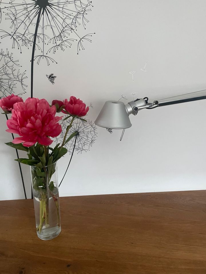 Designklassiker Artemide Tolomeo Chrom wie neu in Brüggen