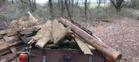 Brennholz zu verschenken Saarland - Spiesen-Elversberg Vorschau