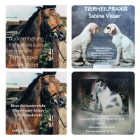 Tierheilpraxis Pferd ,Hund &Katze Wuppertal - Elberfeld Vorschau
