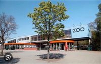 Zoo Jahreskarten Dresden - Cossebaude Vorschau