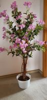 Kunstpflanze pinkfarben ähnlich Kirschblüten ca. 120 cm hoch Bayern - Harburg (Schwaben) Vorschau