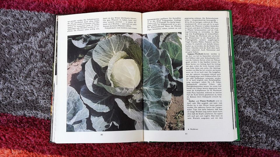 Gemüse im Garten / Garten Grammatik vom ARTIA Verlag Prag 1984 in Jena