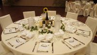 Hochzeitsdeko, Tischnummern, Vasen mit Tischnummern, Handarbeit Hessen - Büdingen Vorschau