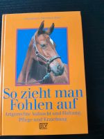 Pferde Buch " So zieht man Fohlen auf " BLV-Verlag Rheinland-Pfalz - Windhagen Vorschau