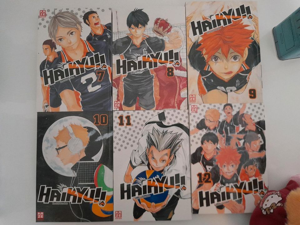 Manga / Haikyu!! / 1-8 / Deutsche Ausgabe / Kaze in Dresden